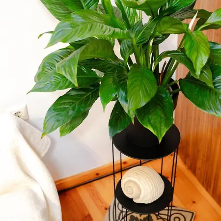 Kooreloo Airy Loft Prázdninový dům